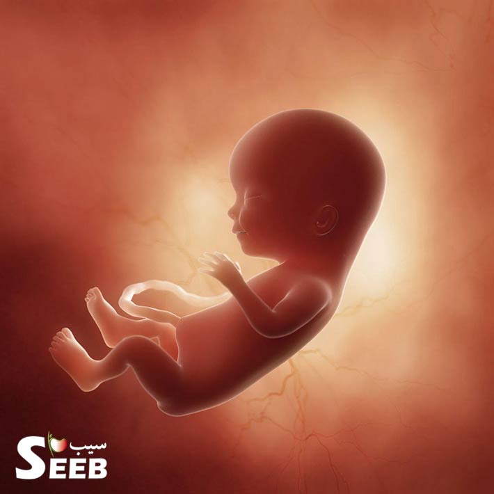 هر آنچه در مورد سقط ناخواسته جنین نمی دانید ( قسمت اول )