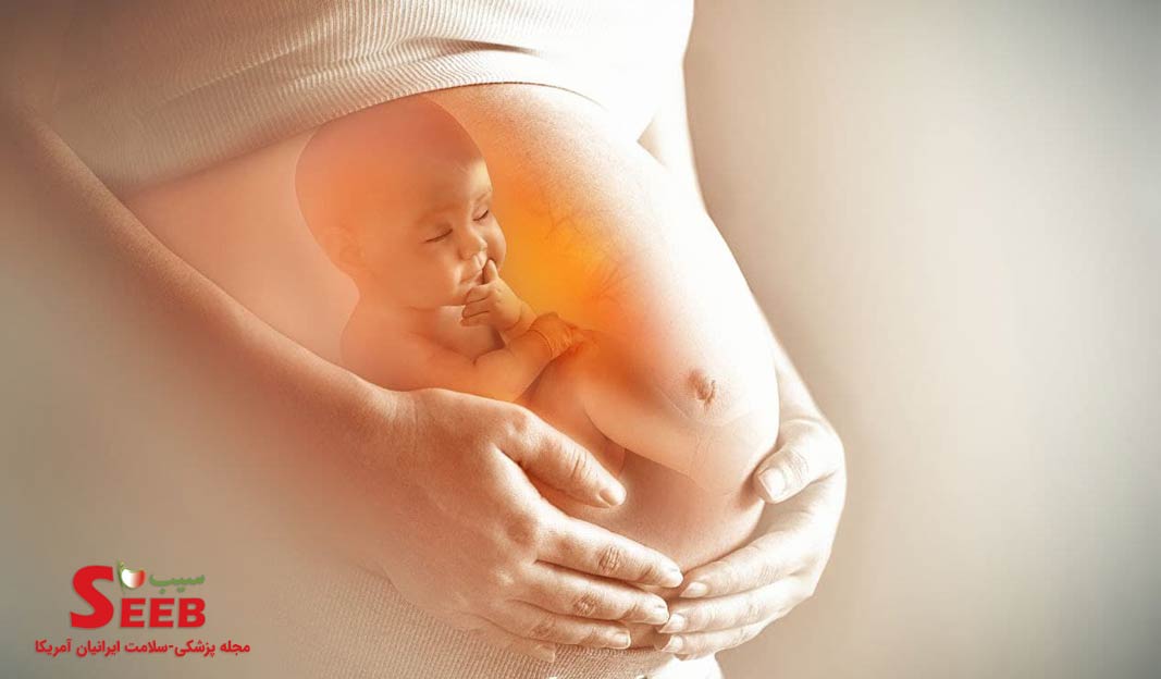 آیا امواج الکترومغناطیسی سبب سقط جنین می شود ؟ ( قسمت دوم )
