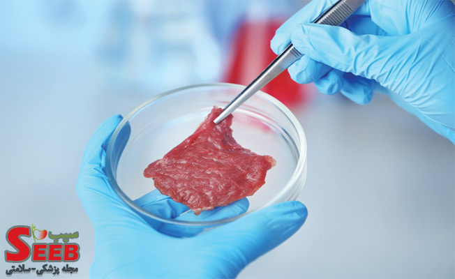 گوشت آزمایشگاهی چیست و چگونه تولید می‌شود؟