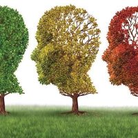 با این مواد غذایی به جنگ آلزایمر بروید