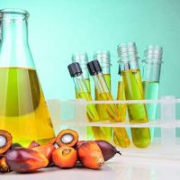 روغن پالم برای بدن مفید است یا مضر