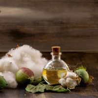 مضررات و خواص دارویی روغن پنبه دانه
