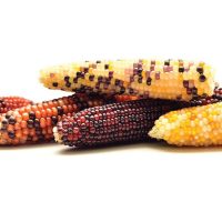 خواص بی نظیری که مصرف ذرت برای شما به همراه دارد